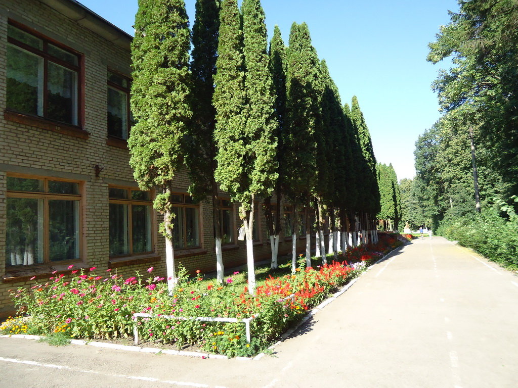 Карамышевская средняя школа №25